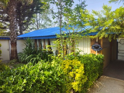 کلبه ساحلی فلت  عسل رو به دریا 