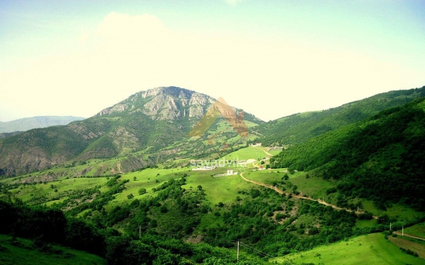 پارک جنگلی خانیکان
